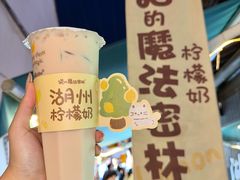 -猫的魔法密林(衣裳街店)