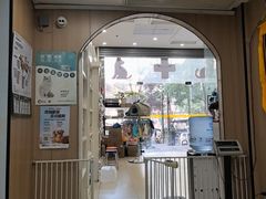 -米苏动物医院·犬猫专科·骨科外科内窥镜