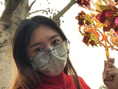 -悦城龙母祖庙