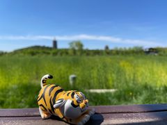 -永定河休闲森林公园