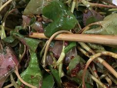 凉拌折耳根-盘龙黄鳝(盘龙居店)