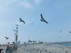 -东港音乐喷泉广场