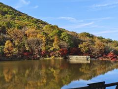 -龙道沟景区