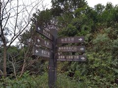 -南山植物园