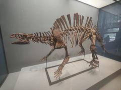 -湖南省地质博物馆