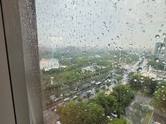 -上海宝华万豪酒店