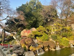 -江心屿景区