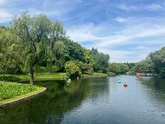 -上海共青森林公园