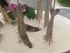 -牛天下·牛肉·海鲜·打边炉·融合菜