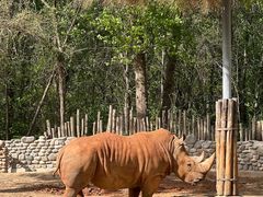 -北京野生动物园
