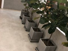 -石头先生的烤炉(济南领秀城贵和店)
