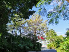 -深圳湾公园(南山区)