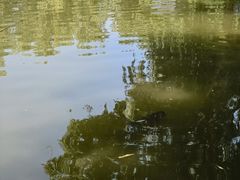 -酷鱼垂钓CLUB(朝阳区博大路店 )