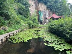 -莫干山风景区