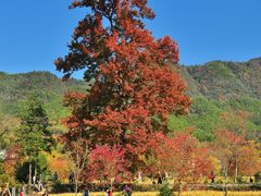 -塔川景区