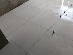-大树装饰·十年本土家装