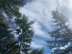 -崂山巨峰游览区