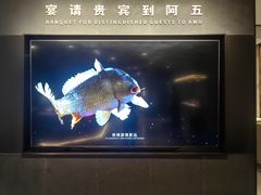 -阿五黄河大鲤鱼(英协路店)