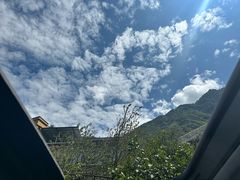 -金鼎雪山牦牛杂火锅(理县总店)