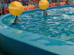 -尼莫海豚馆