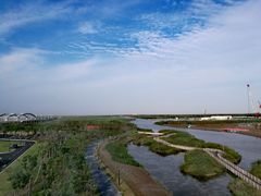 -春花秋色城市公园