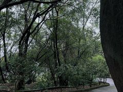 -漳州云洞岩风景区-瑞竹岩