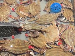 -一方渔歌蒸汽海鲜自助(文化路万达广场店)