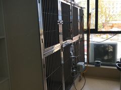 住院部-阳光宠物医院