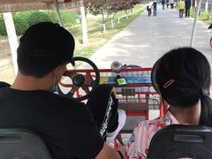 -永定河休闲森林公园