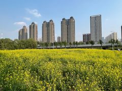 -长白岛森林公园