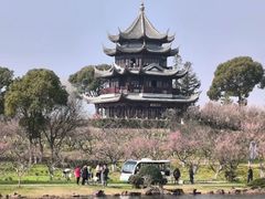 -上海海湾国家森林公园