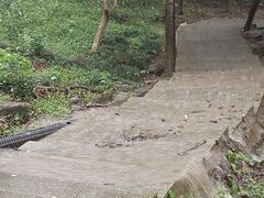 -火炉山森林公园