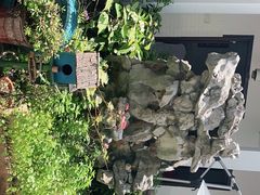 -美味之家·湖景农家乐(太湖东山店)