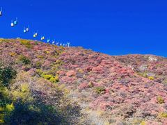 -周口店坡峰岭风景区
