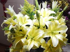 -双季花艺园艺市场(浦东店)