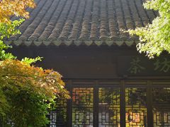 -上海醉白池公园