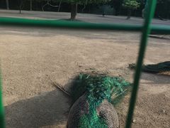 -杭州野生动物世界
