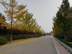 -沙澧河风景区