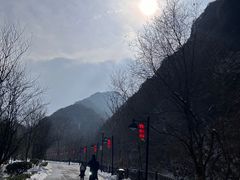 -少华山国家森林公园