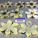 中式酥点之可以吃的葵花，小仙女必备小技巧（内附超长攻略）