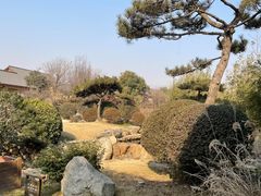 -诗经里