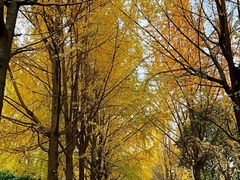 -西南交通大学(九里校区)