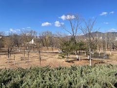 -滨河世纪广场公园