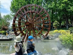 -溱湖国家湿地公园