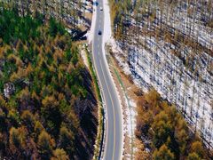 -塞罕坝国家级自然保护区