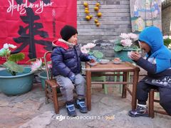 -紫光园·烤鸭·北京菜(西直门店)