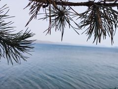 -萨尔浒风景区