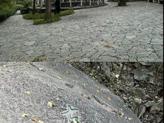 -北京鹫峰国家森林公园