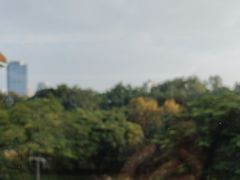 -深圳少年儿童图书馆