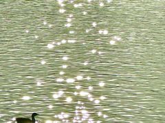 -艾溪湖湿地公园